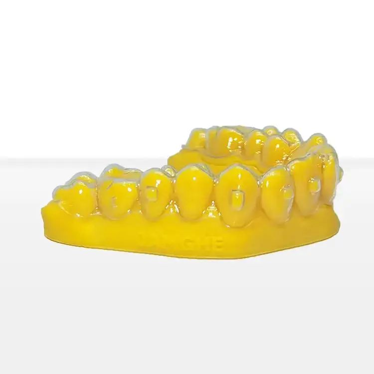 JAMG HE Ortho Model Resin - Image 2